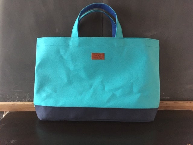 lesson bag