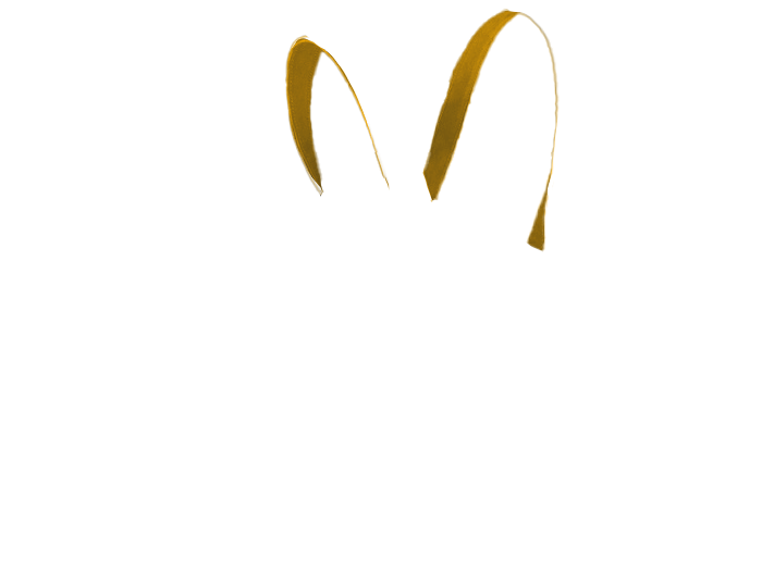 madre favorite 取手内側